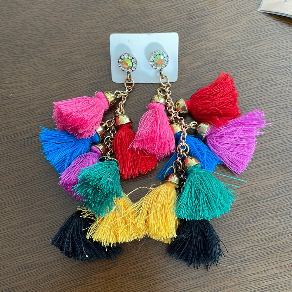 Earrings